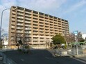 ルナコート富田林（605）