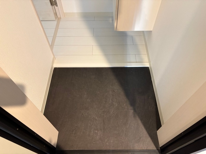 物件内観写真17　(玄関)