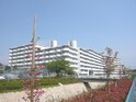 デイオ・フェルティ枚方（931）