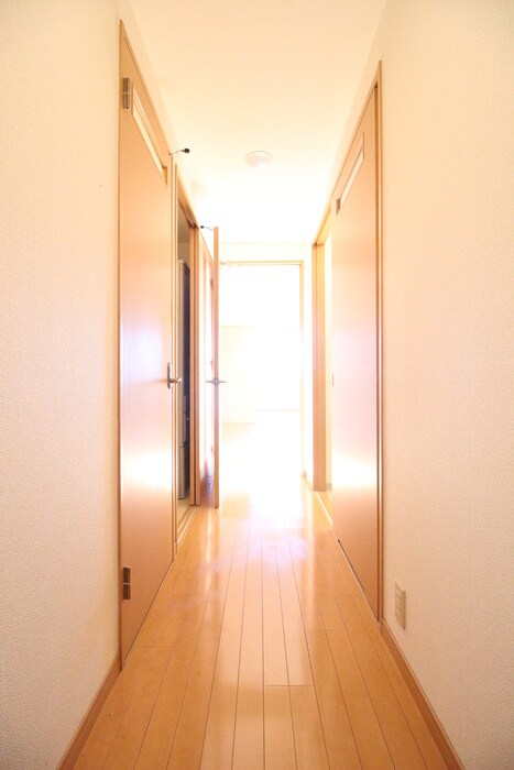 物件内観写真17　(廊下)