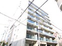 ewalu 城東