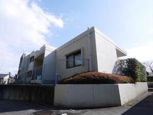 グレース桂外観写真