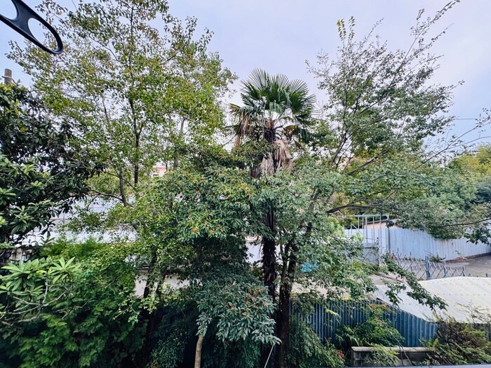 物件内観写真15　(室内からの展望)