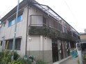 藤本文化
