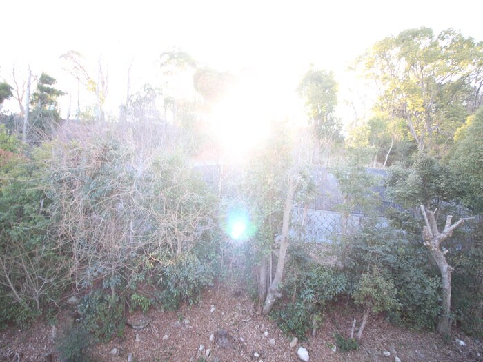 物件内観写真15　(室内からの展望)