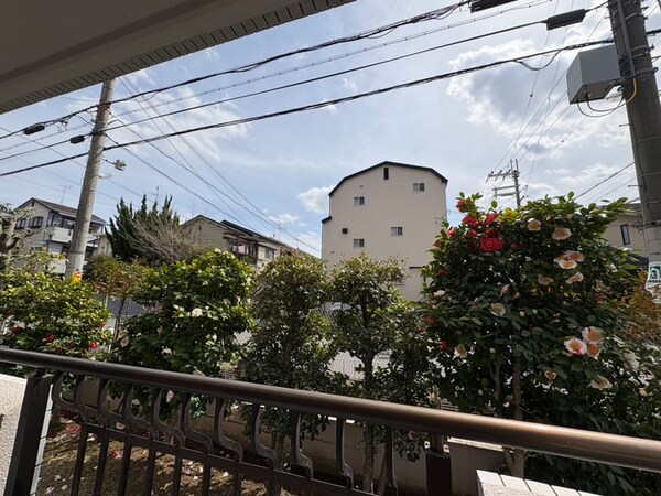 室内からの展望