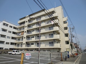 ビ－バ－ハイツ今川外観写真