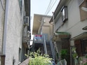 川口文化