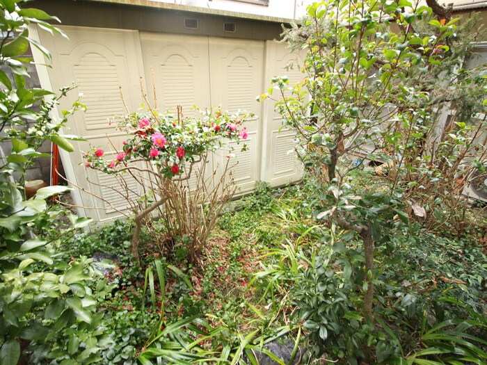 物件内観写真12　(室内からの展望)