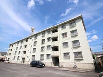 ハイツ堤下の外観写真