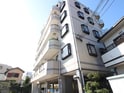 シャングリラ尾崎