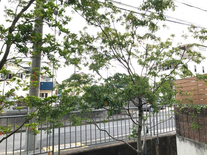 物件内観写真16　(室内からの展望)