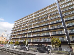 Ｍプラザ楠根　壱番館外観写真