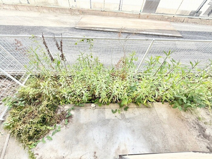 物件内観写真22　(室内からの展望)