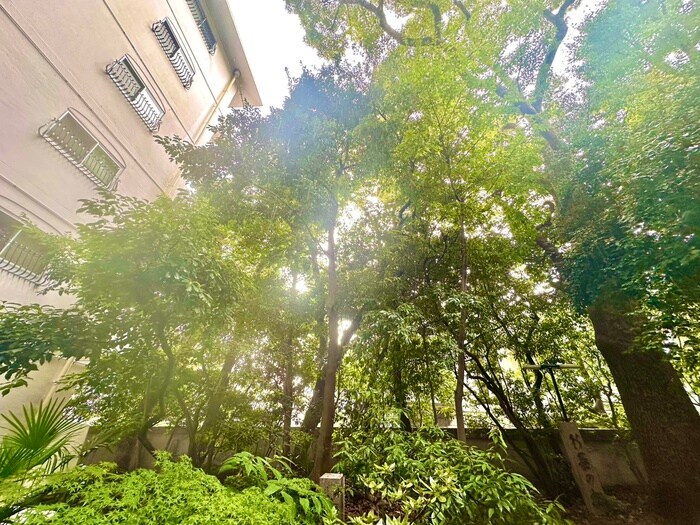 物件内観写真17　(室内からの展望)