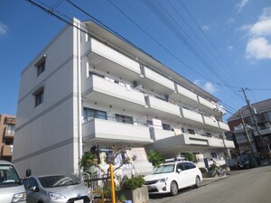 コンテンポラリーハイツ外観写真