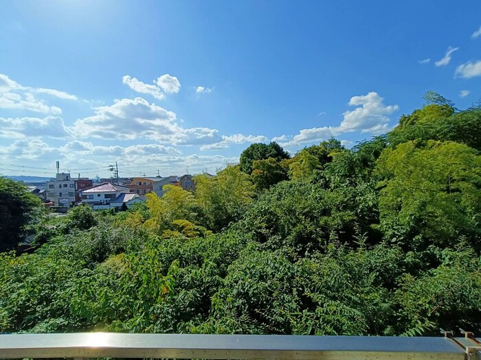 物件内観写真22　(室内からの展望)