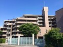 ｻﾝｳﾞｪ-ﾙﾋﾙ甲陽園３番館(333)