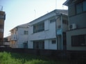 馬場文化