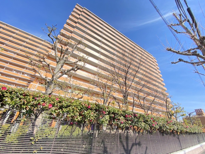 ﾗｲｵﾝｽﾞﾏﾝｼｮﾝ若江東参番館(812)