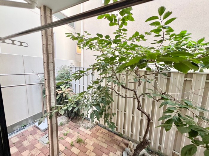 物件内観写真15　(室内からの展望)