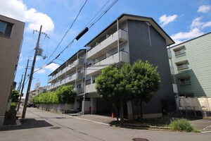 ｷｻﾞｸﾗｸｽﾞﾊﾊｲﾂ外観写真