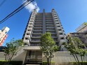 ｼｬﾙﾏﾝﾌｼﾞｽﾏｰﾄ近鉄八尾ﾌﾛﾝﾄﾃﾗｽ