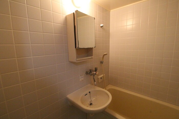 物件内観写真10　(洗面)