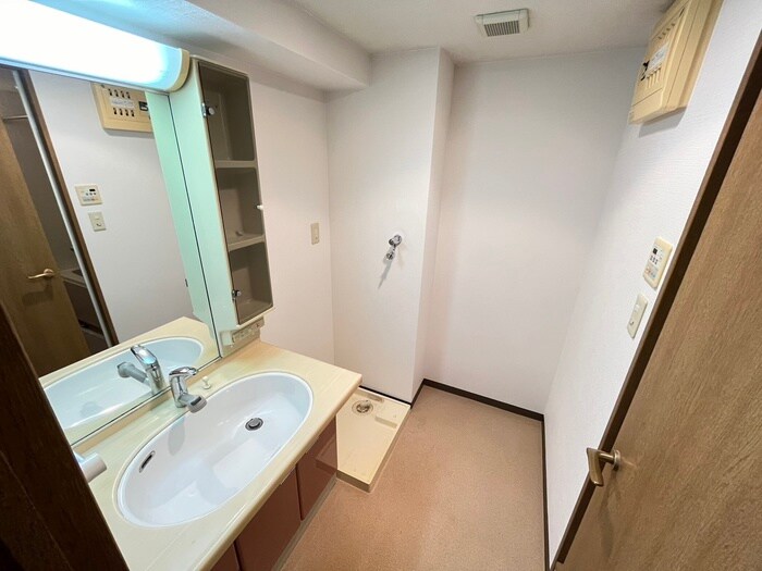 プレサンス京大南（７０４）の洗面