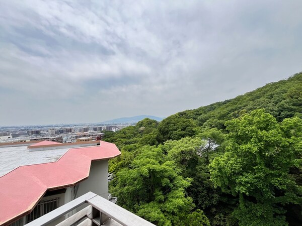 室内からの展望
