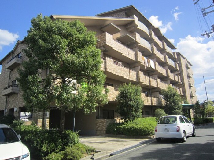 物件外観写真5　(駐車場)