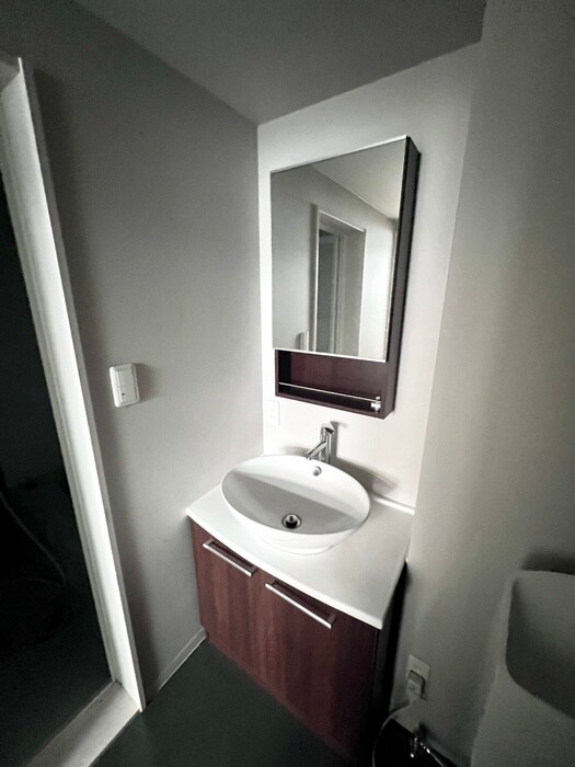 物件内観写真10　(洗面)