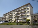清和台住宅団地5号棟（504）