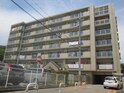 コンドミニアム丸の内（701）