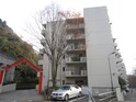 ｻﾝﾛｲﾔﾙ池田ﾊﾞｰﾄﾞﾋﾙｽﾞ参号館(518)