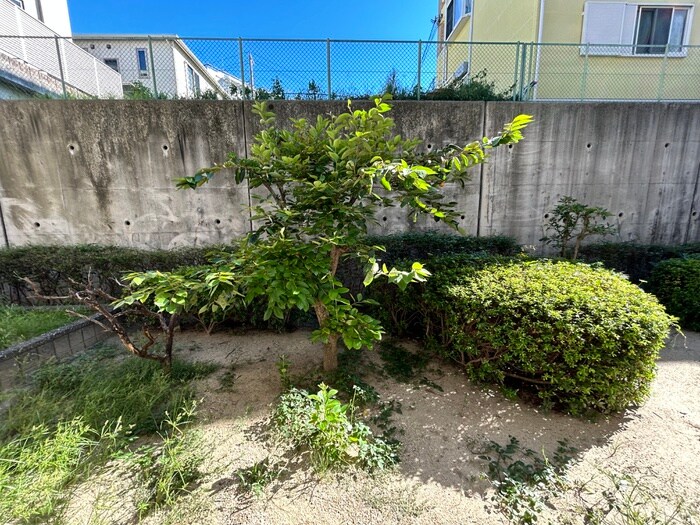 物件内観写真18　(室内からの展望)