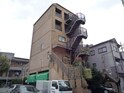 ビッグフォレスト