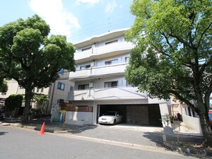 メゾン坂口外観写真