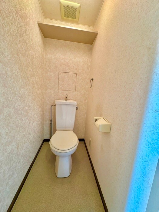 ヴィ－ナス２１のトイレ