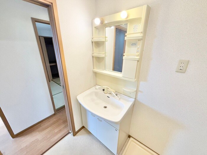 レオーネ南陵の洗面