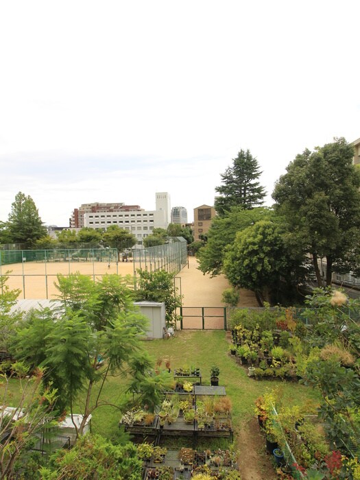 物件内観写真18　(室内からの展望)