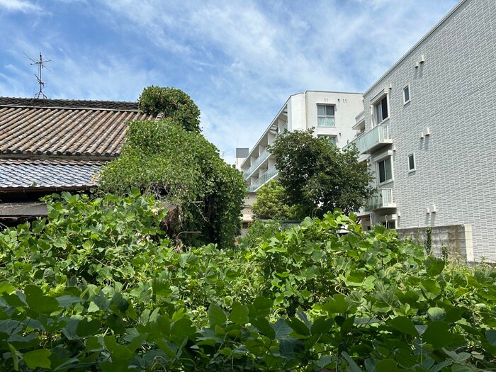 物件内観写真16　(室内からの展望)