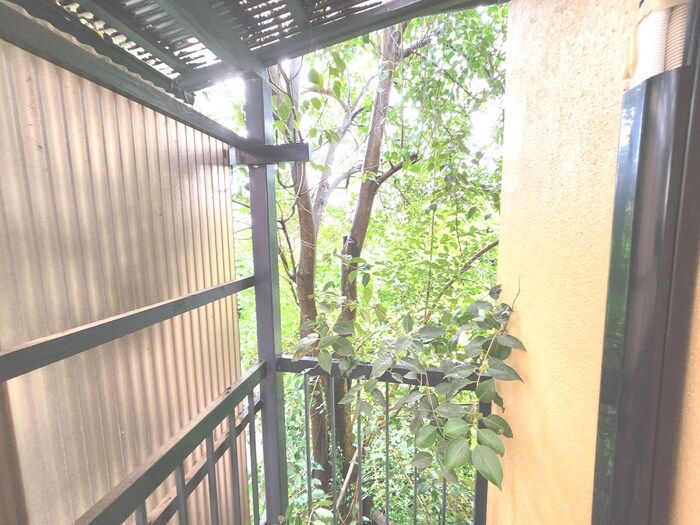 物件内観写真18　(室内からの展望)