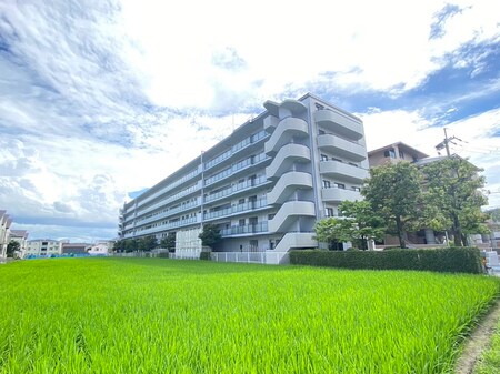 東急ﾄﾞｴﾙ･ｱﾙｽ京都山科107外観写真