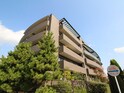 ｽﾃｲﾂ住吉川ｻﾝｸﾁｭｱﾘｽｸｴｱ（403）