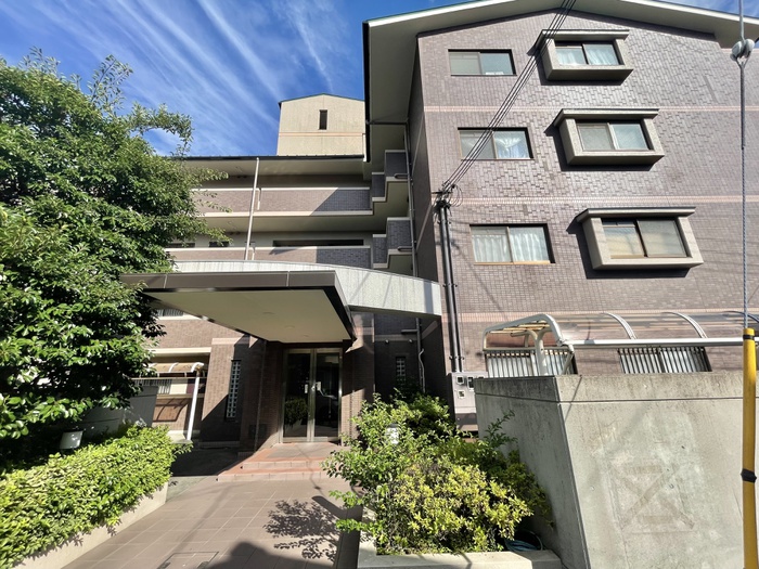 プリムロ－ズ（Ｐrimrose）