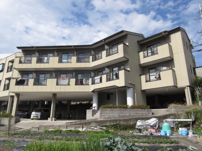 物件外観写真1　(駐輪場)