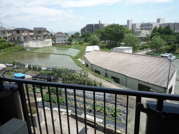 物件内観写真11　(室内からの展望)