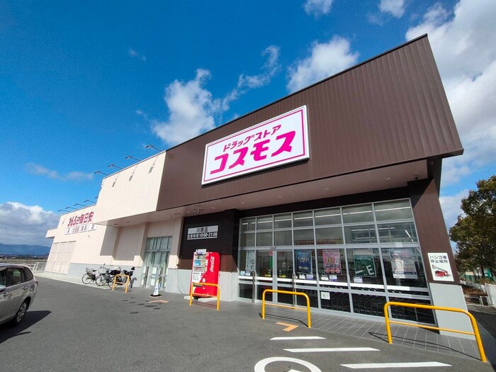 ドラッグストアコスモス川原店