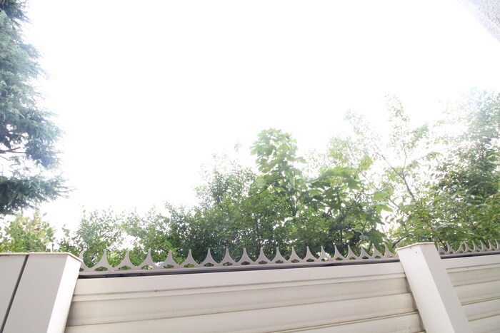 物件内観写真19　(室内からの展望)